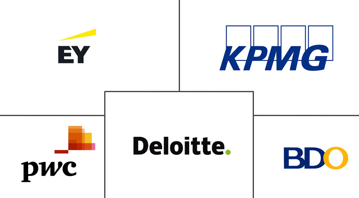 欧洲审计服务市场规模和份额