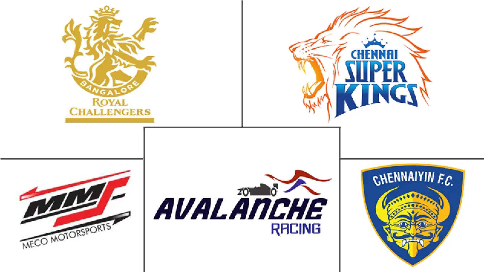 印度运动队和俱乐部市场规模