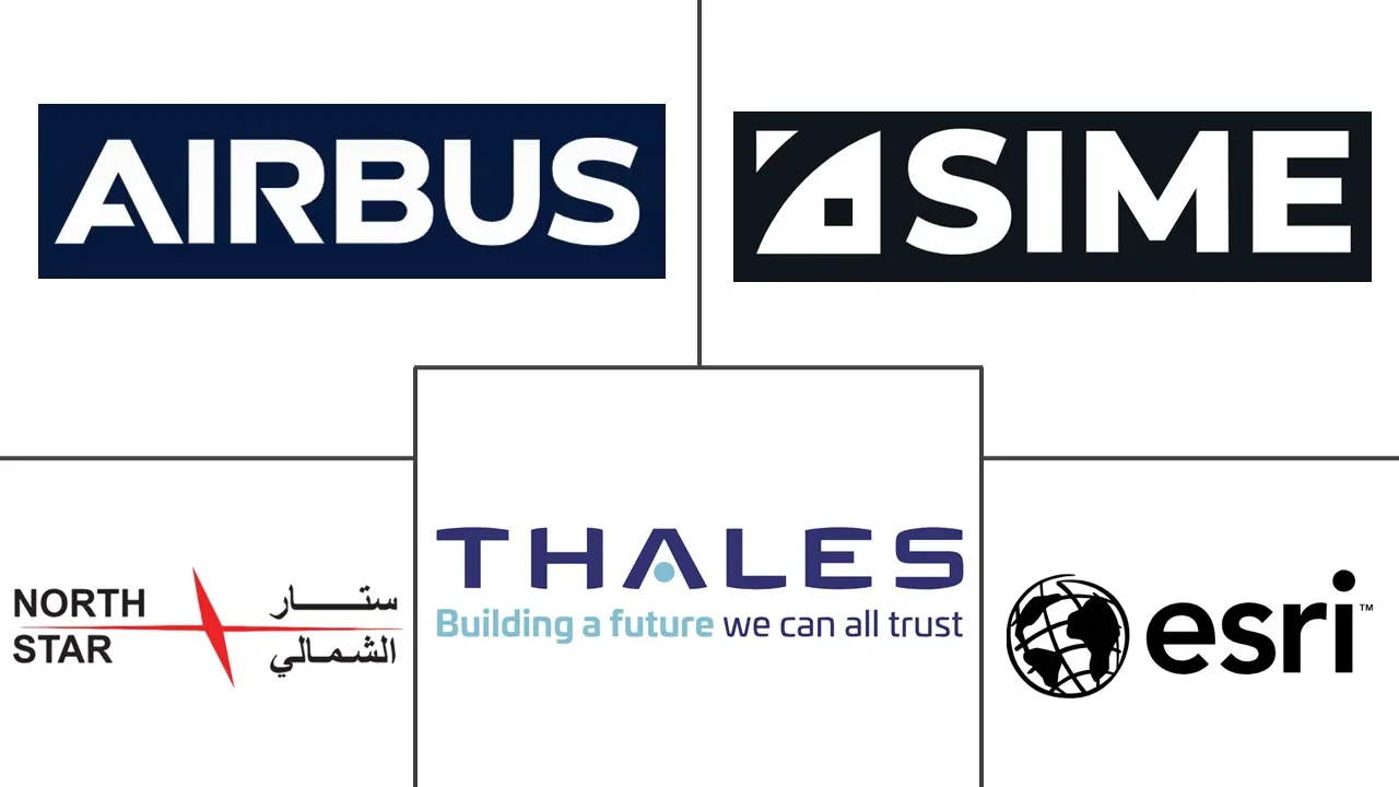 中东卫星图像服务市场规模