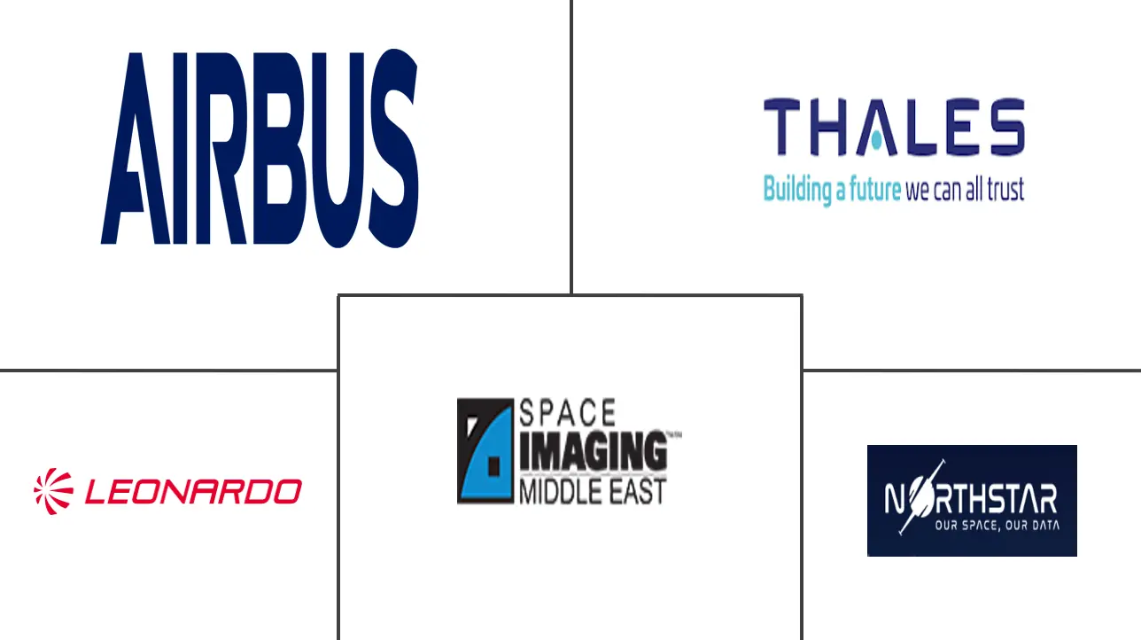 沙特阿拉伯卫星图像服务市场规模