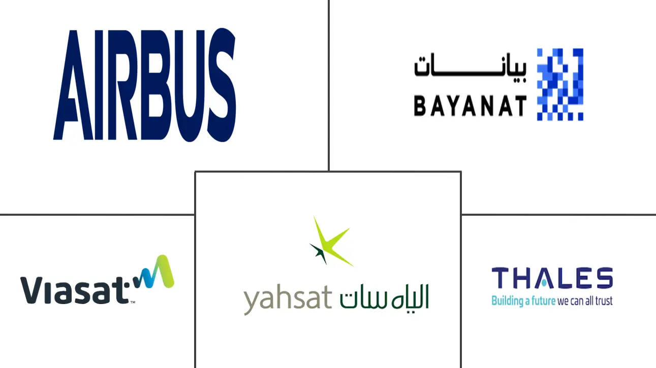 阿拉伯联合酋长国卫星对地观测市场规模