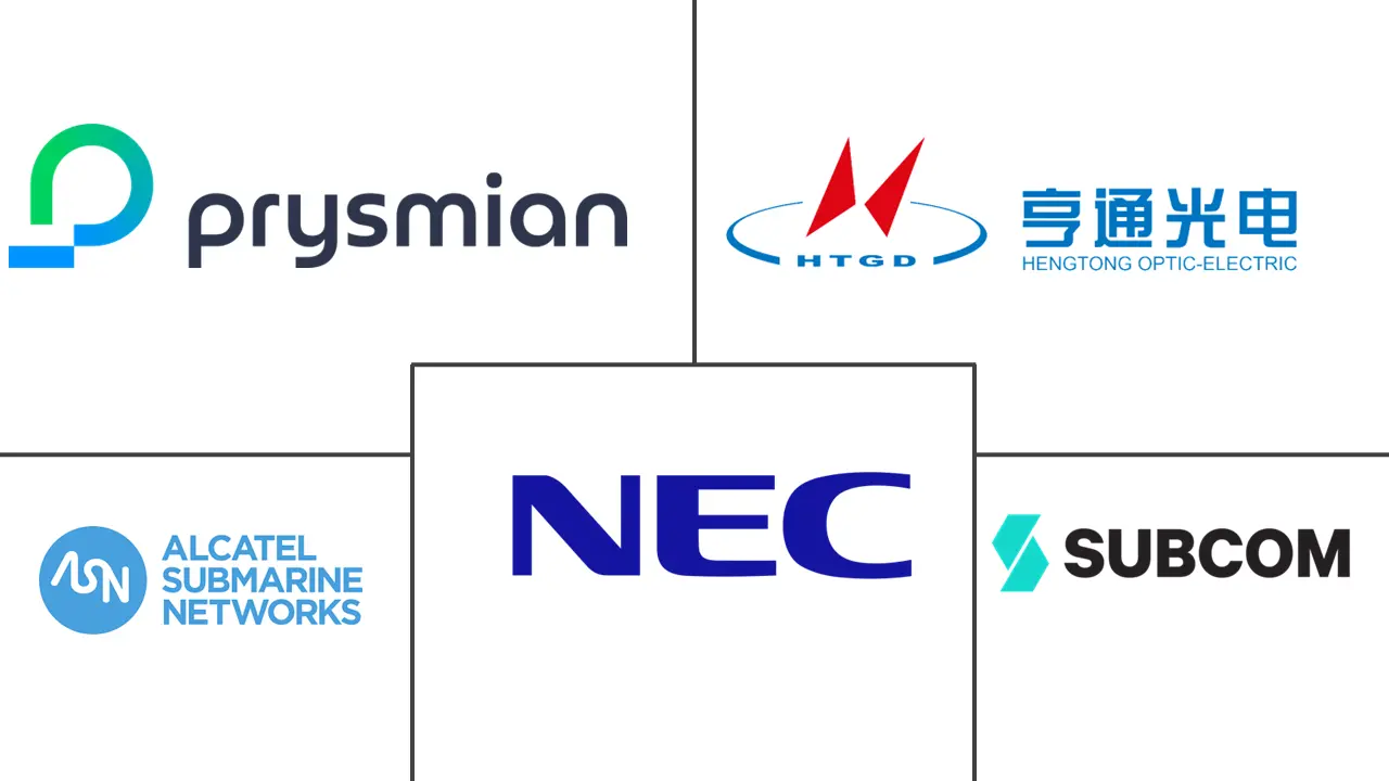 海底电缆系统市场规模和份额