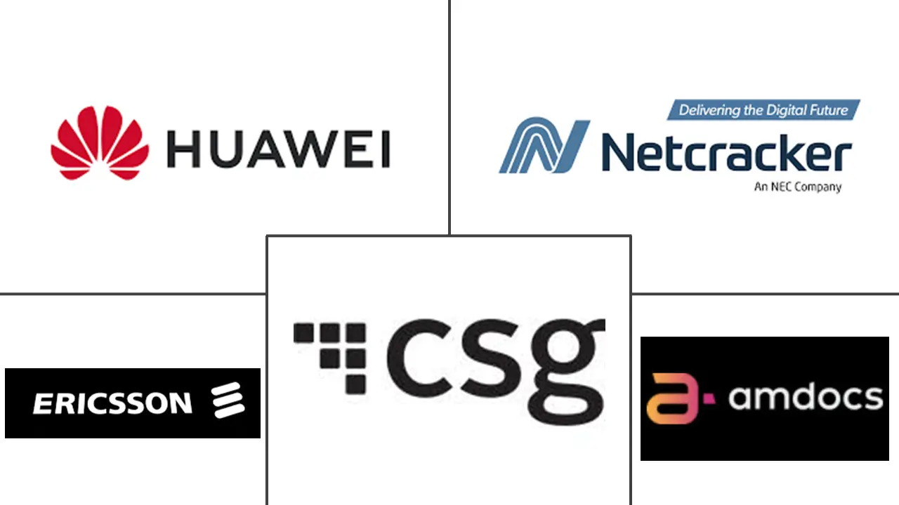 数字 BSS 市场规模和份额