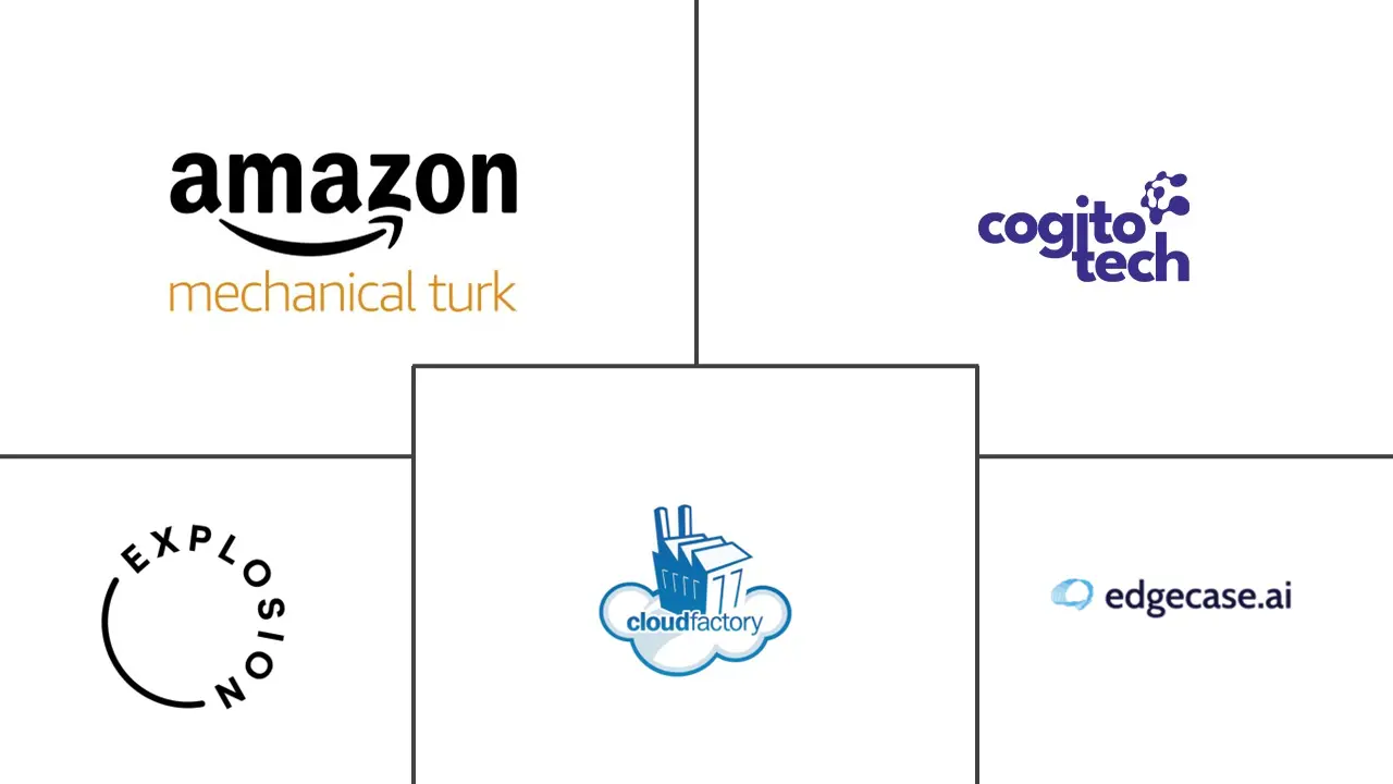 数据标签市场规模和份额
