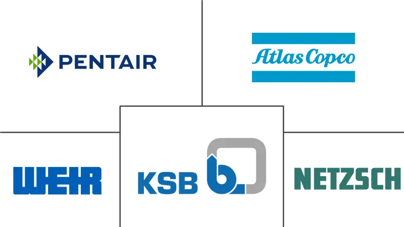亚太地区正排量泵市场规模和份额分析