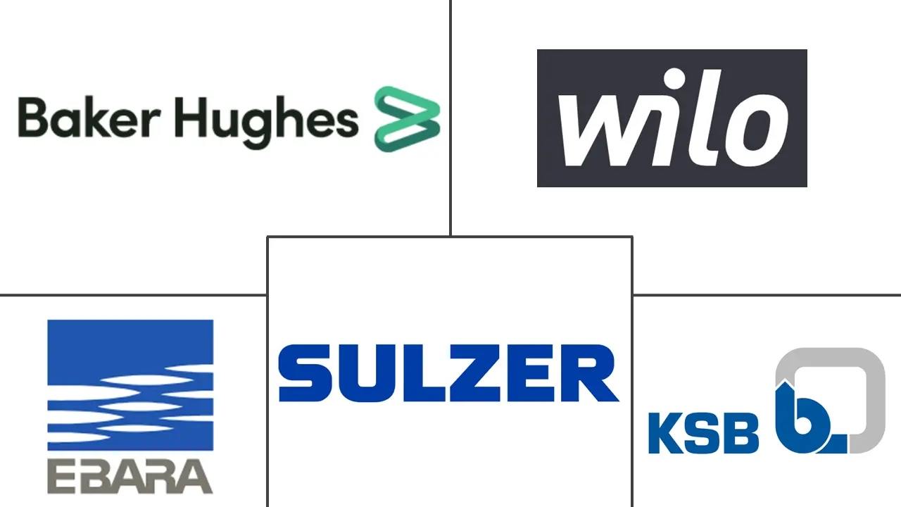 拉丁美洲泵市场规模