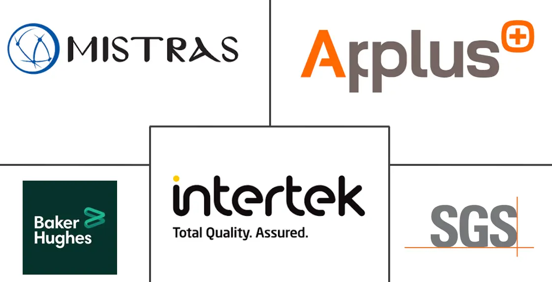 发电无损检测市场规模及份额