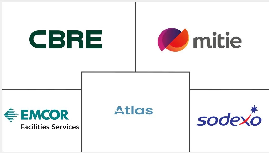 欧洲软设施管理市场规模