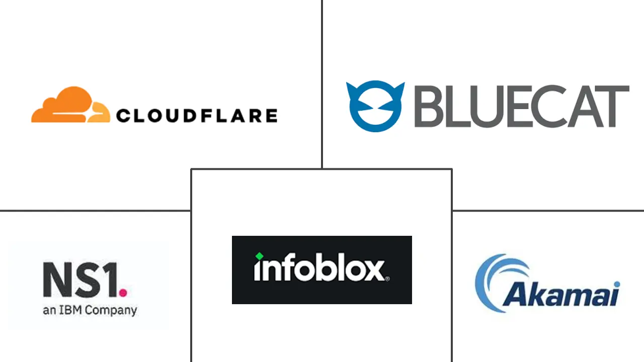 域名系统工具市场规模和份额