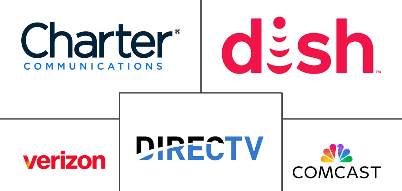 付费电视市场规模