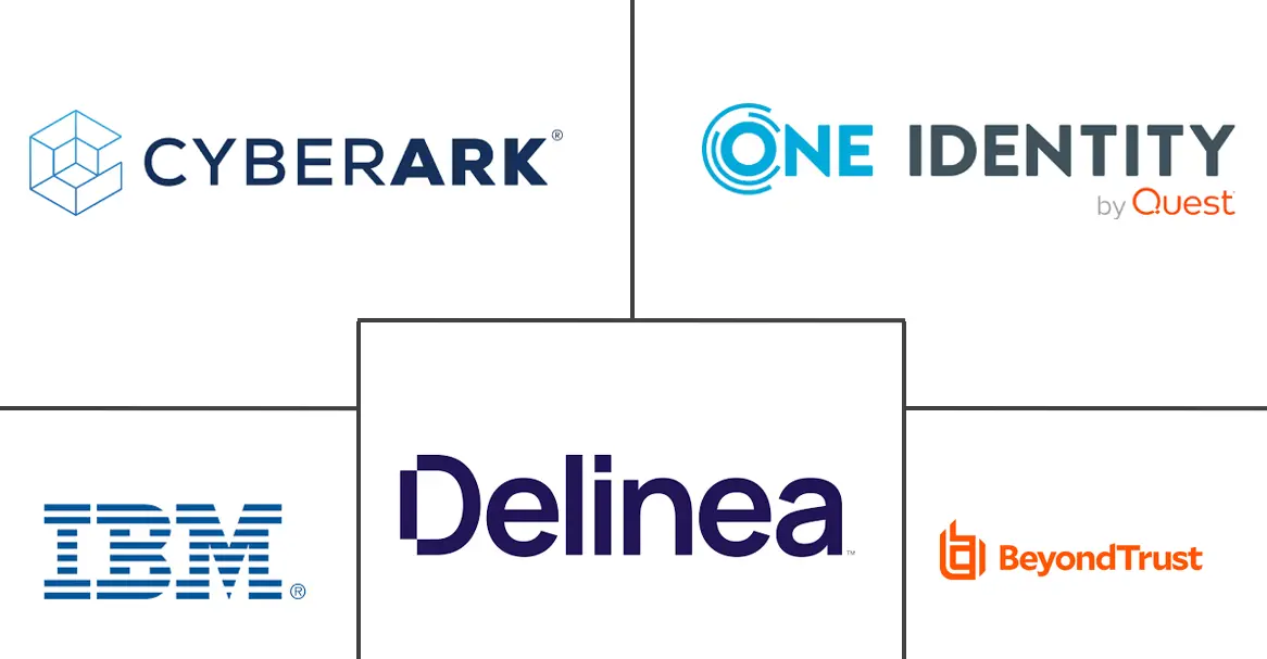 PAM 市场规模和份额