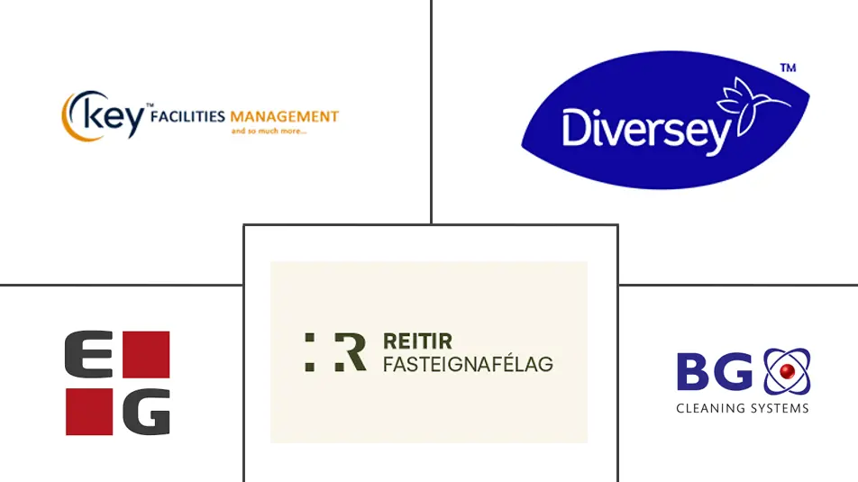 冰岛设施管理市场规模和份额