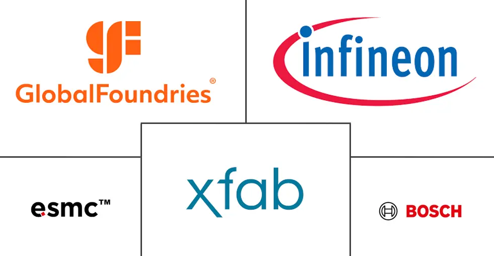 德国半导体代工市场规模及份额