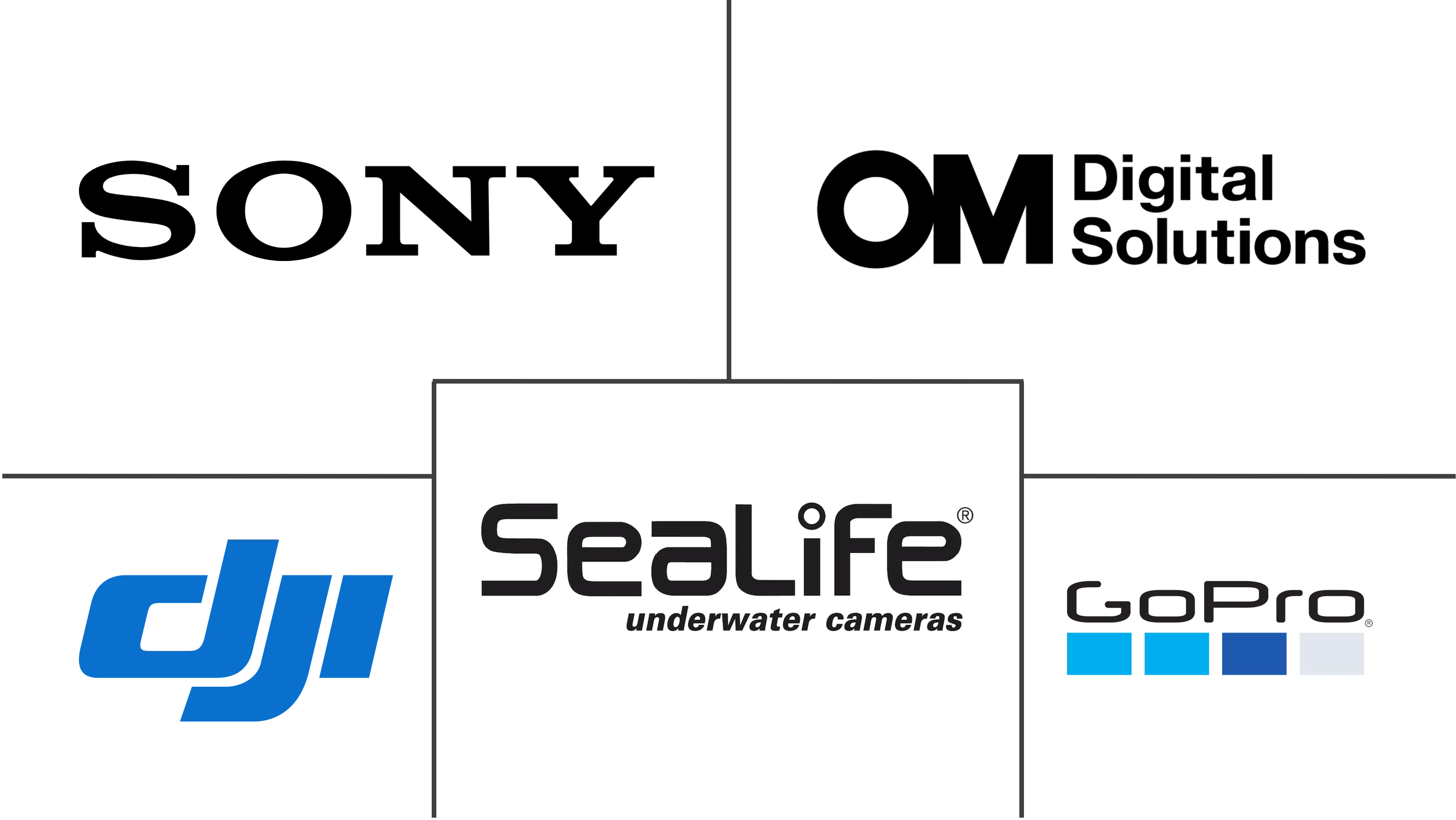 水下相机市场规模和份额