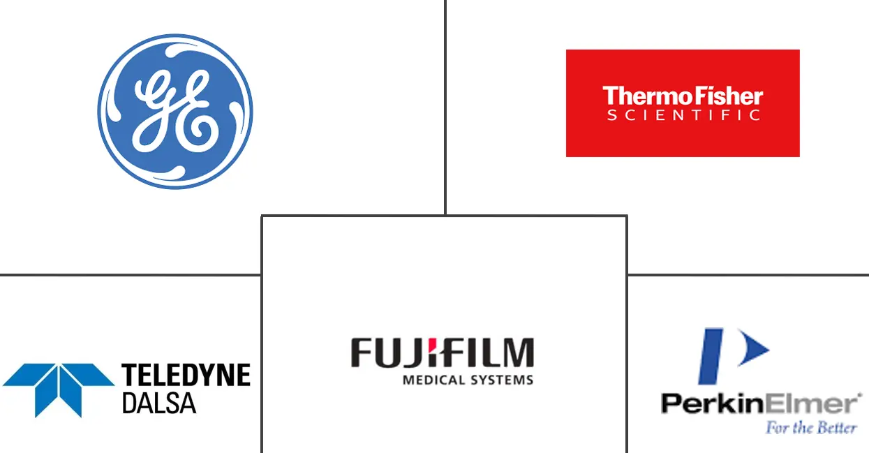 X 射线分析仪器市场规模