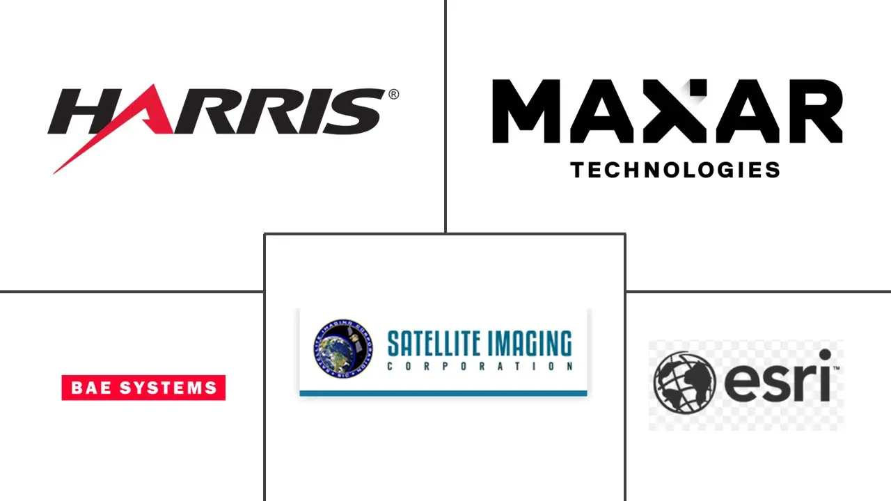 加拿大地理空间图像分析市场规模