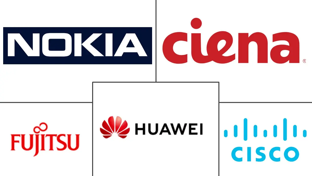 光传输网络市场规模及份额