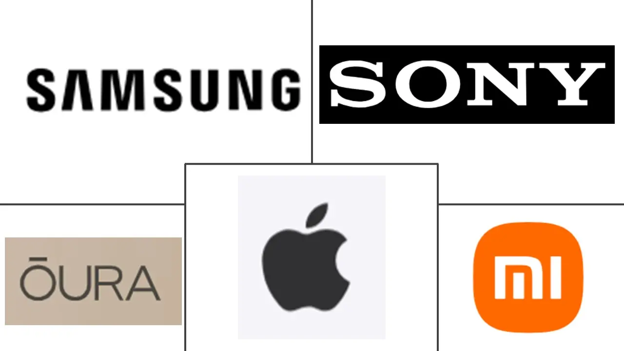 日本健身环市场规模