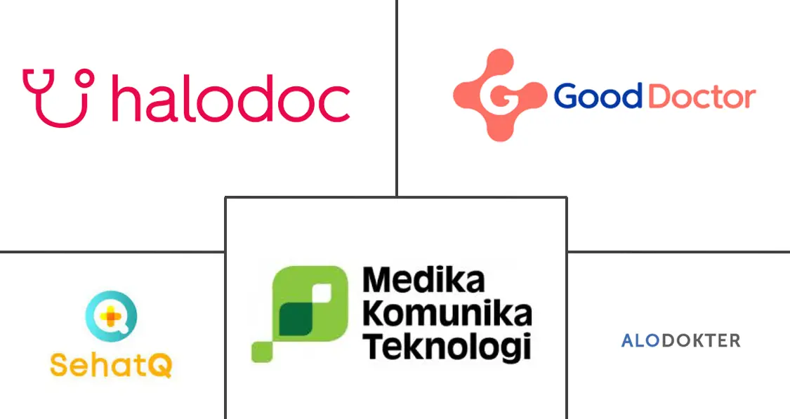印度尼西亚互联医疗市场规模和份额