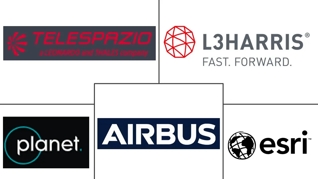 德国卫星图像服务市场规模