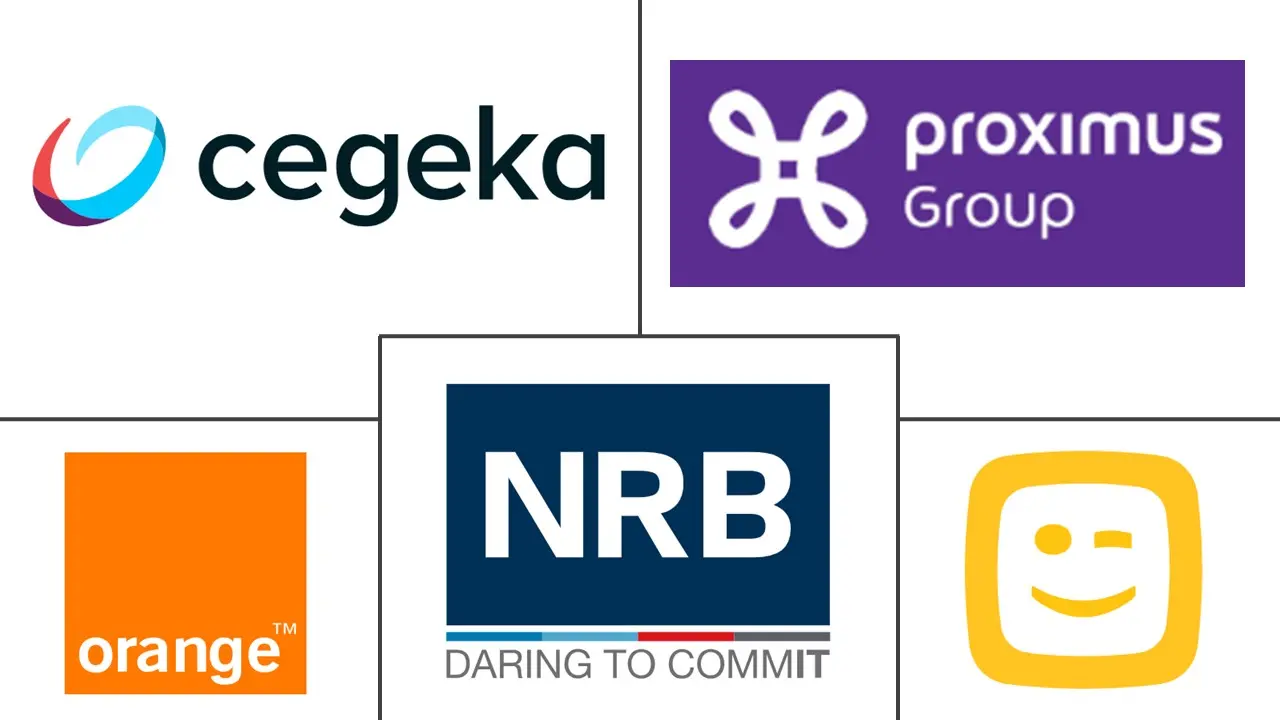 比利时 ICT 市场规模和份额