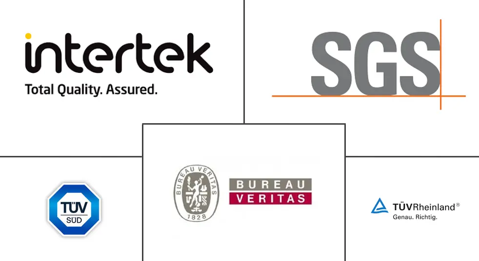 矿业 TIC 市场规模和份额