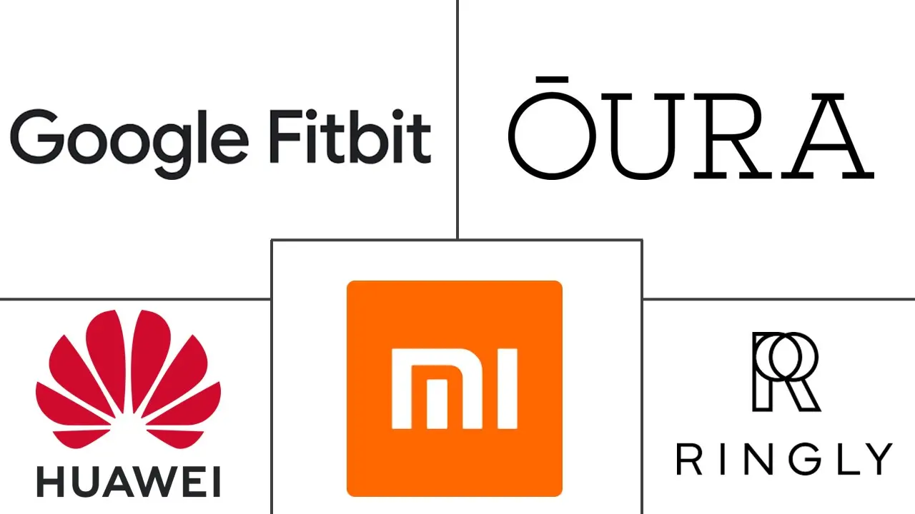 非洲健身环市场规模