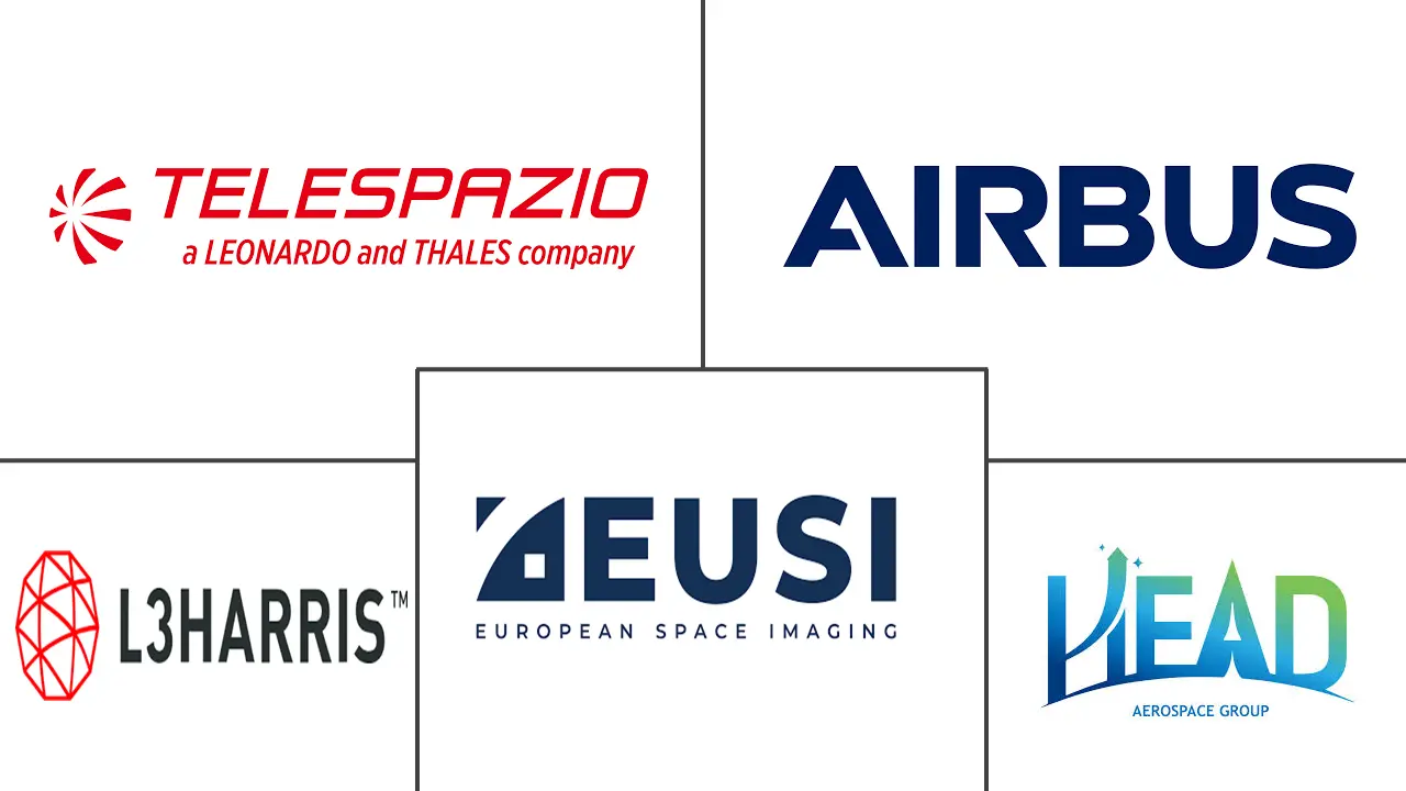 法国卫星图像服务市场规模