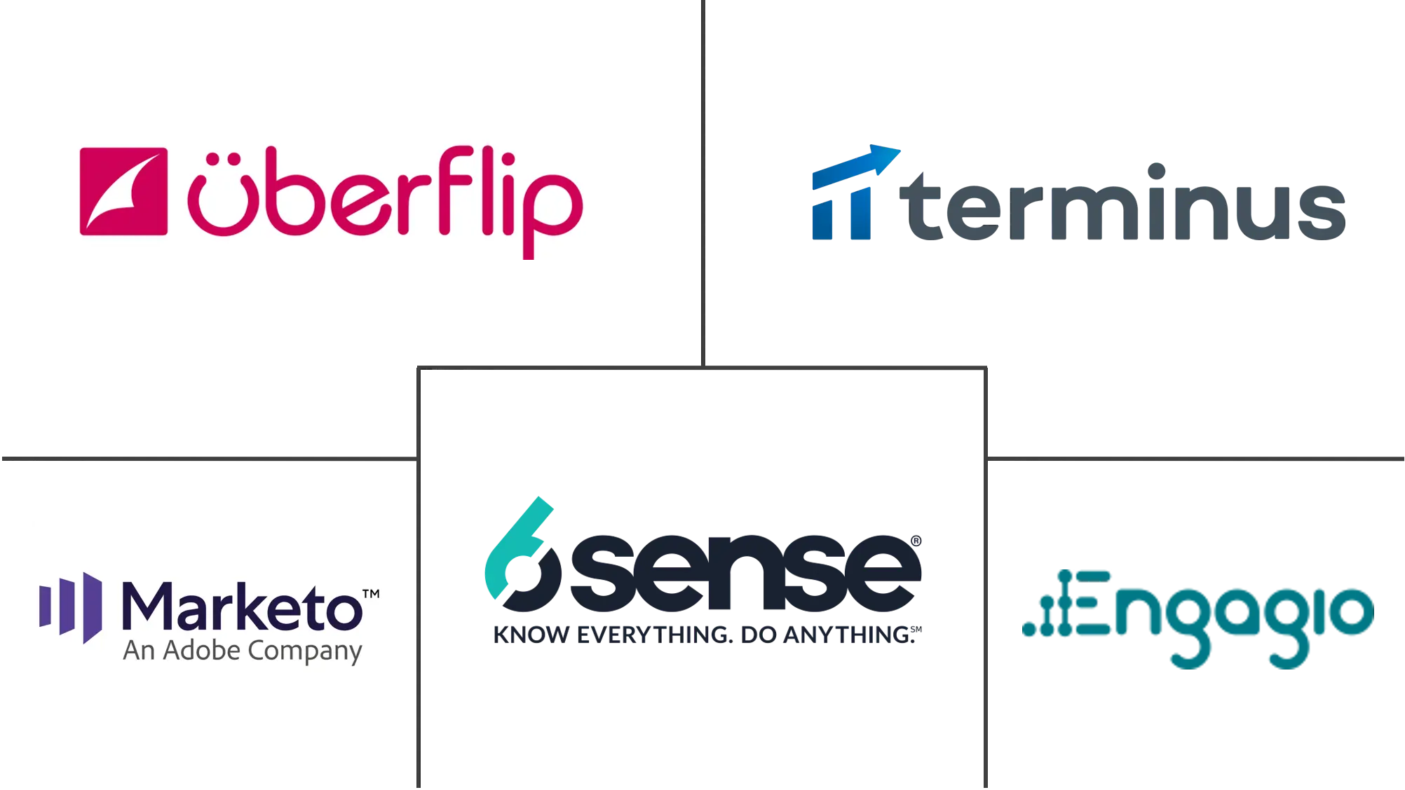 基于帐户的营销市场规模和份额