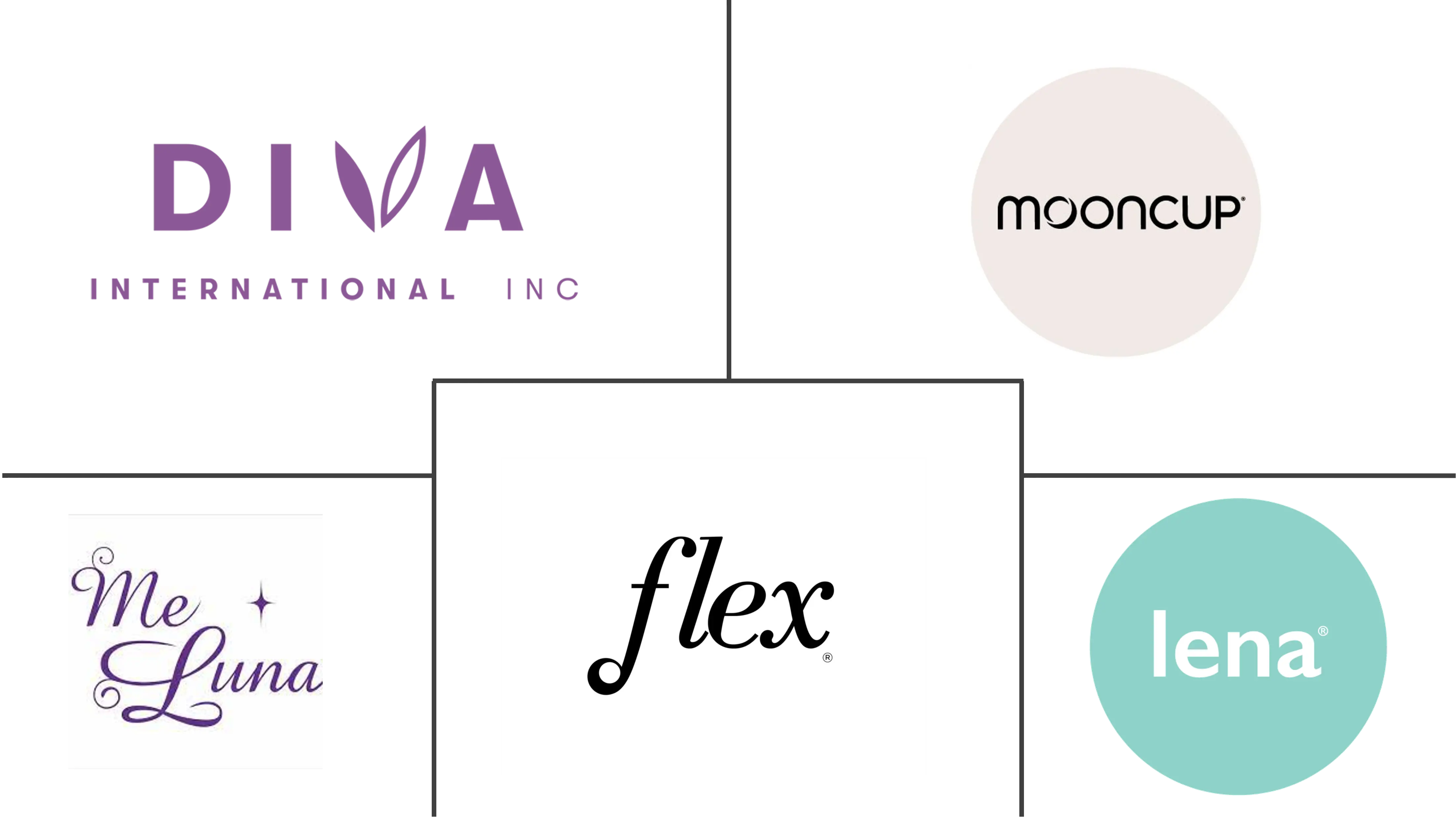 月经杯市场规模及份额