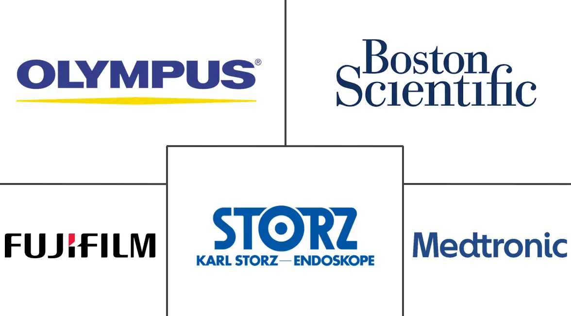 沙特阿拉伯内窥镜设备市场规模和份额分析