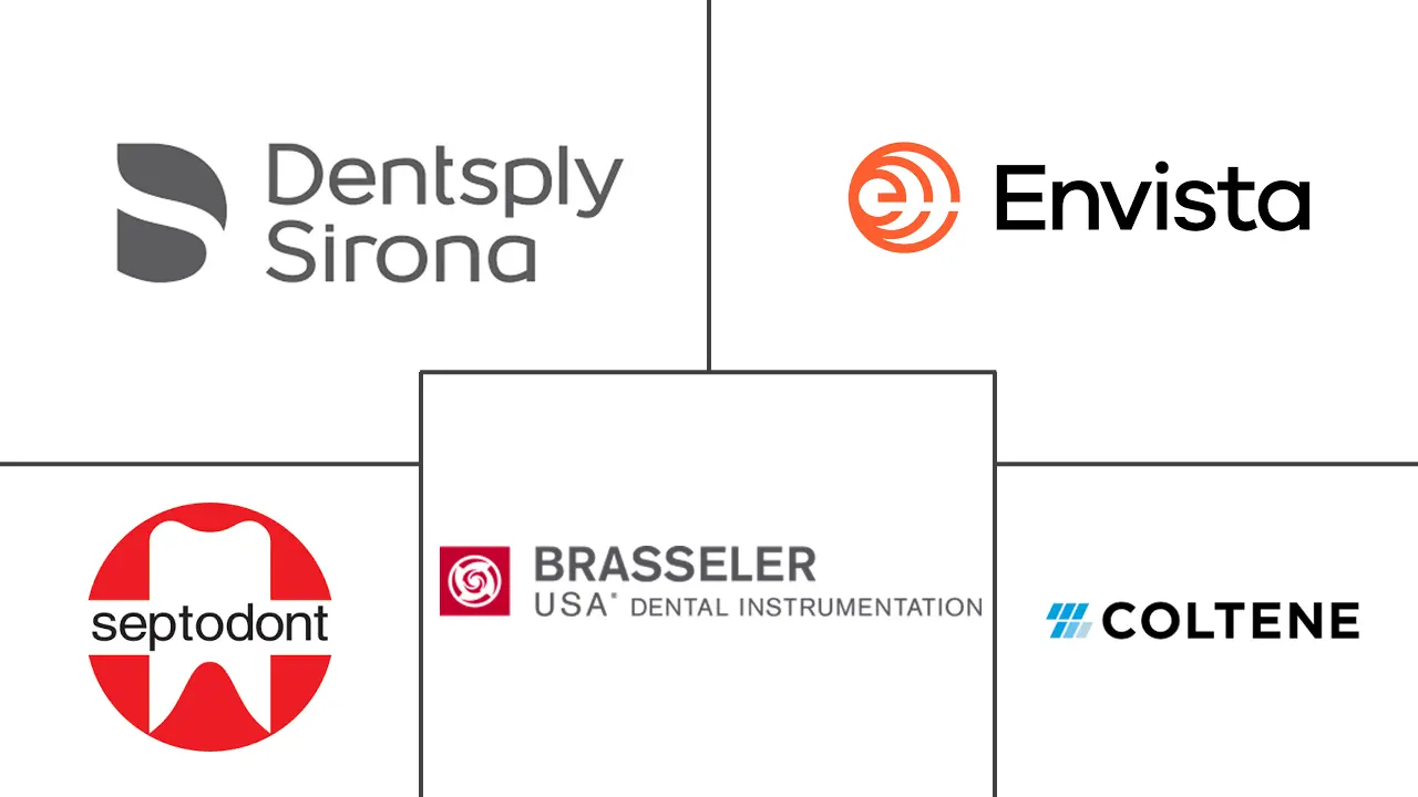 全球牙髓病市场规模及份额