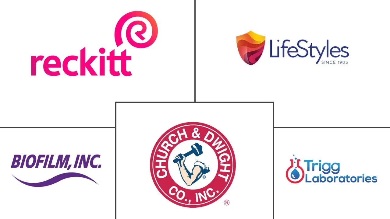 个人润滑剂市场规模和份额