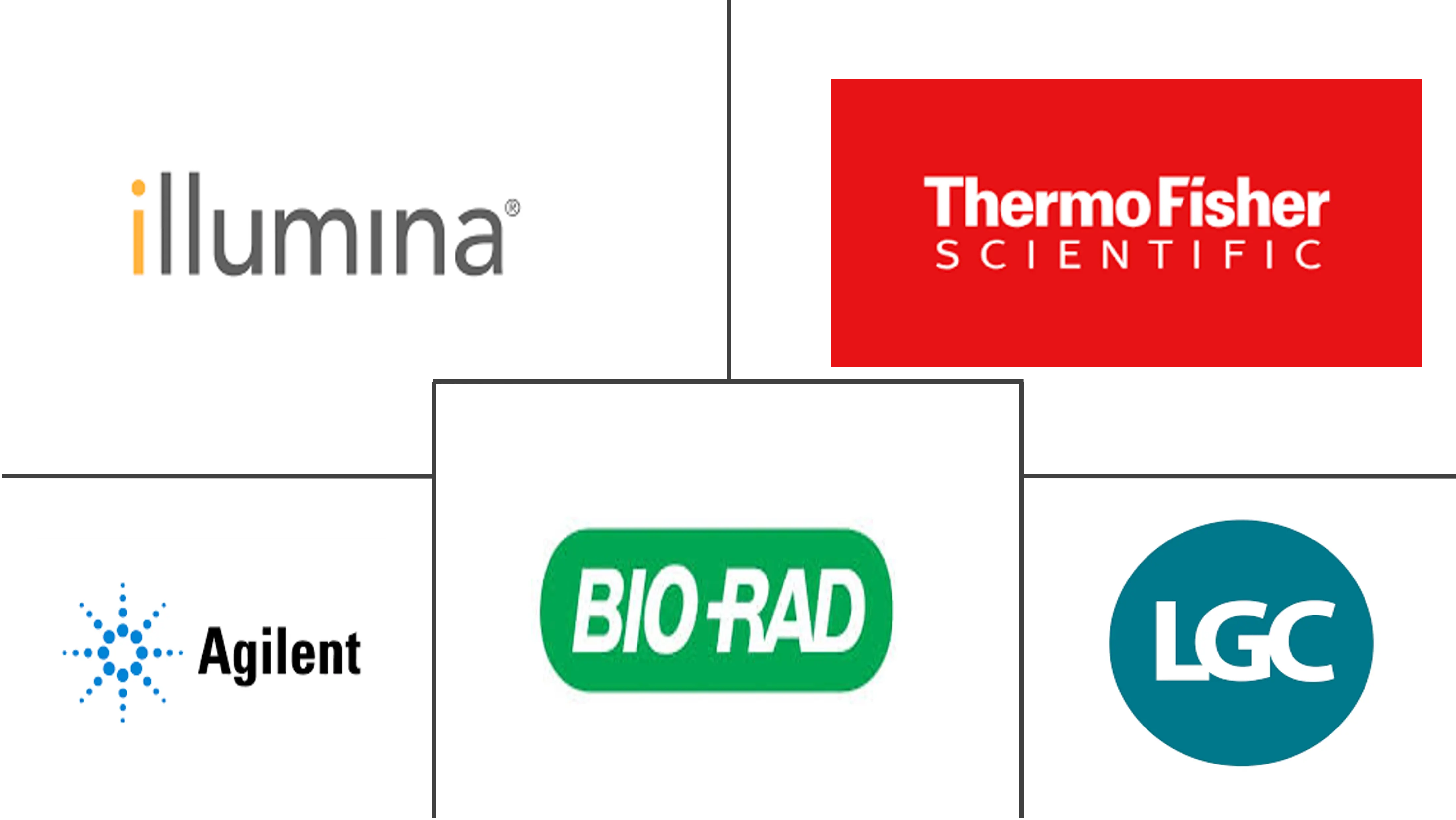 SNP 基因分型市场规模和份额