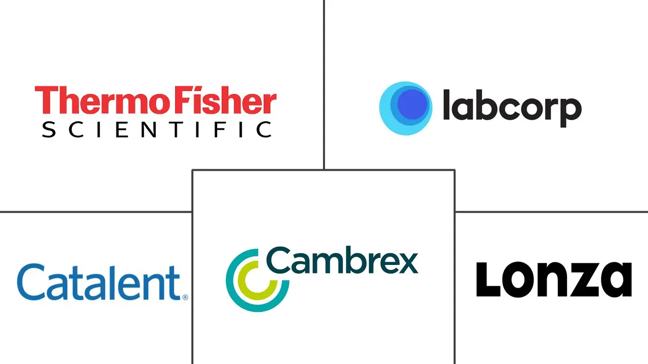 小分子合同开发和制造组织市场规模和份额分析