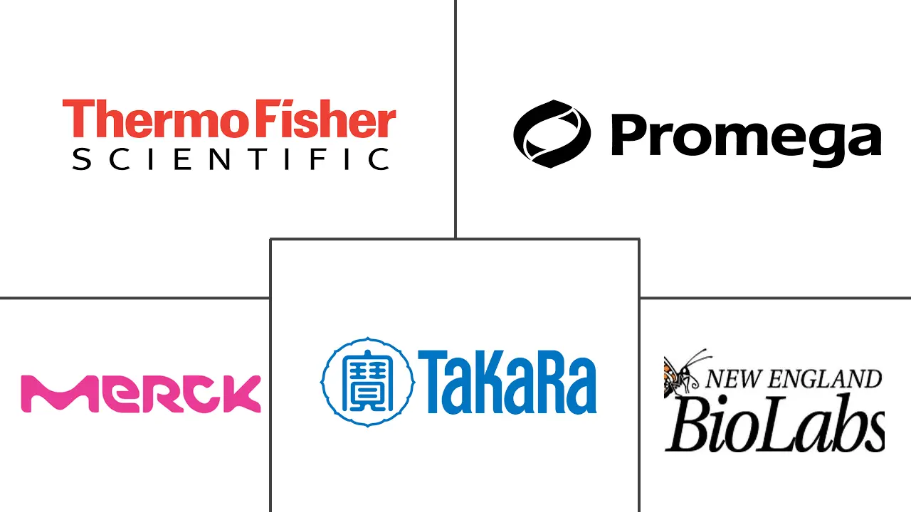 无细胞蛋白表达市场规模和份额