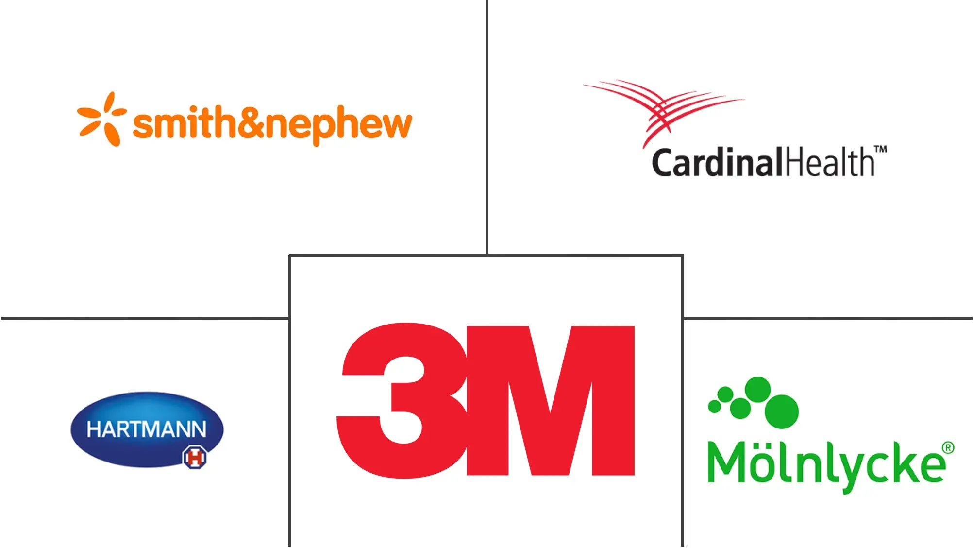 感染性伤口护理管理市场规模