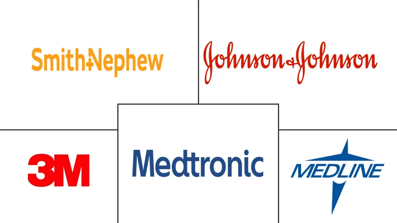 先进伤口治疗设备市场规模