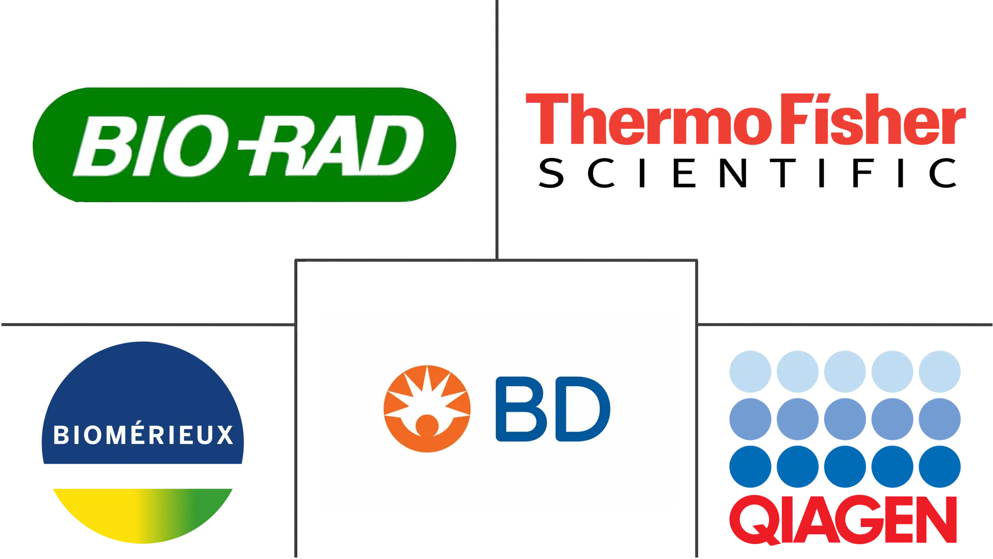 全球工业微生物市场规模及份额