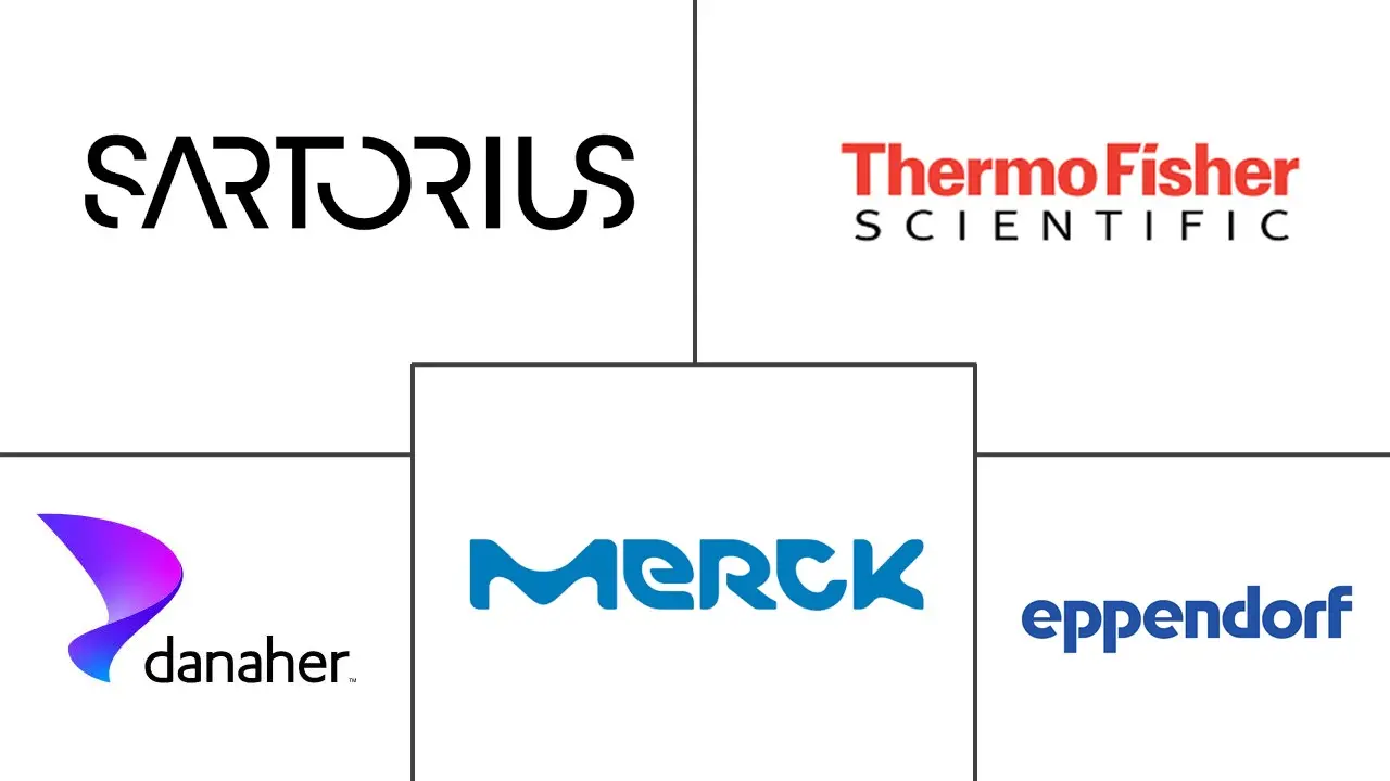 一次性生物反应器市场规模和份额