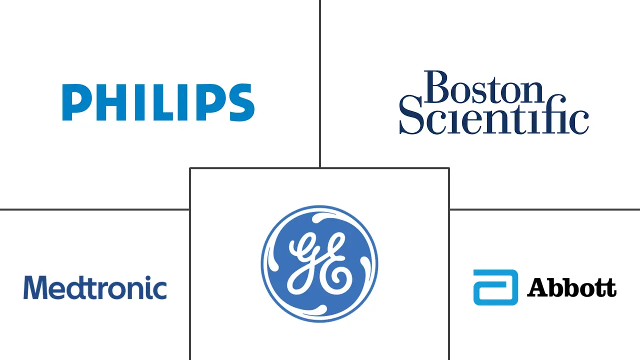 动态心脏监测市场规模和份额