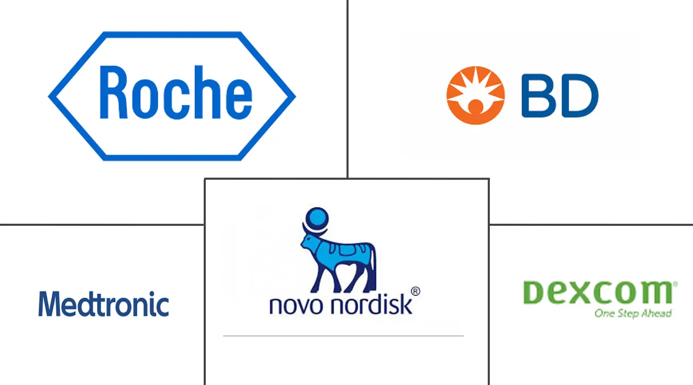 北美糖尿病护理设备市场规模