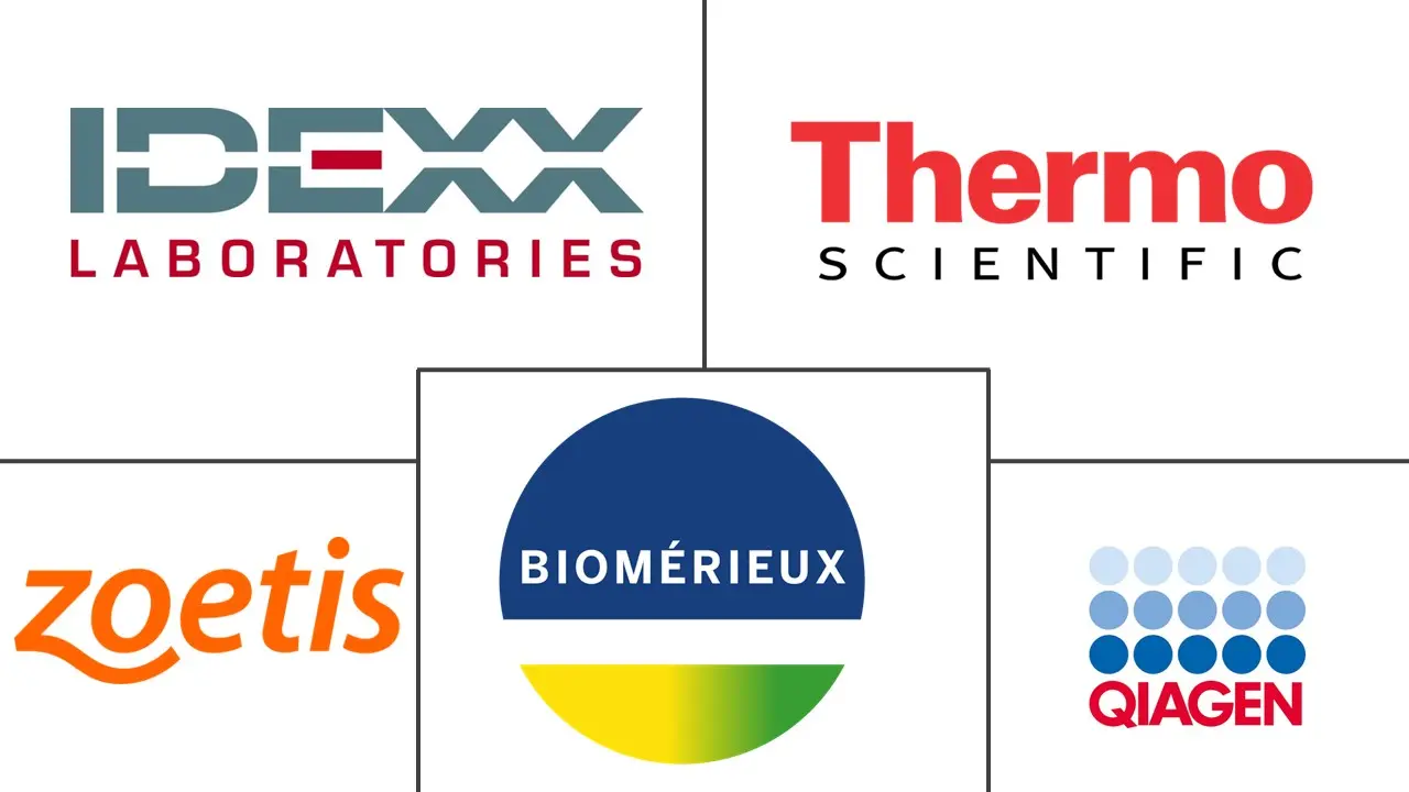 兽医分子诊断市场规模和份额