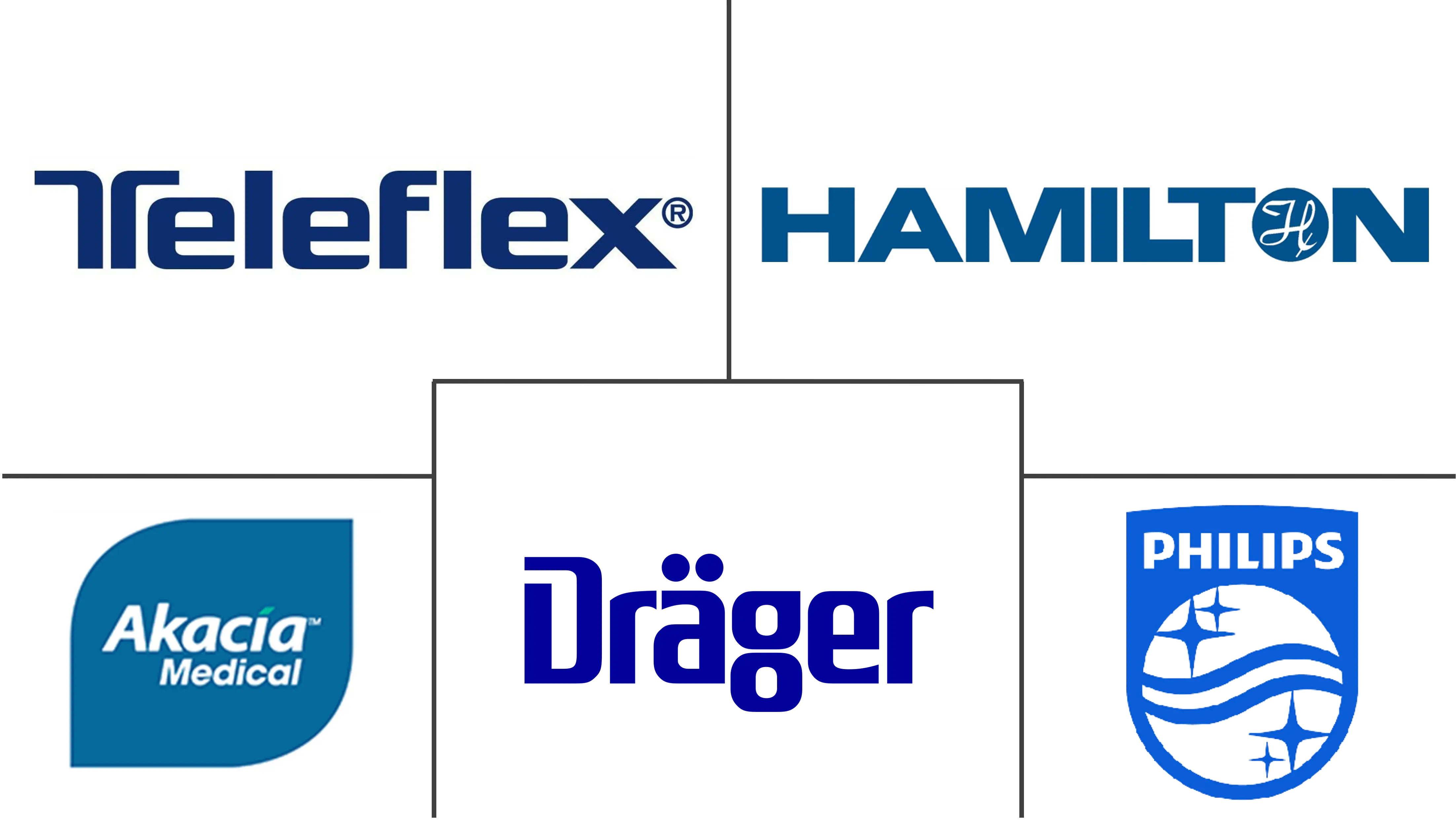 南非呼吸设备市场规模