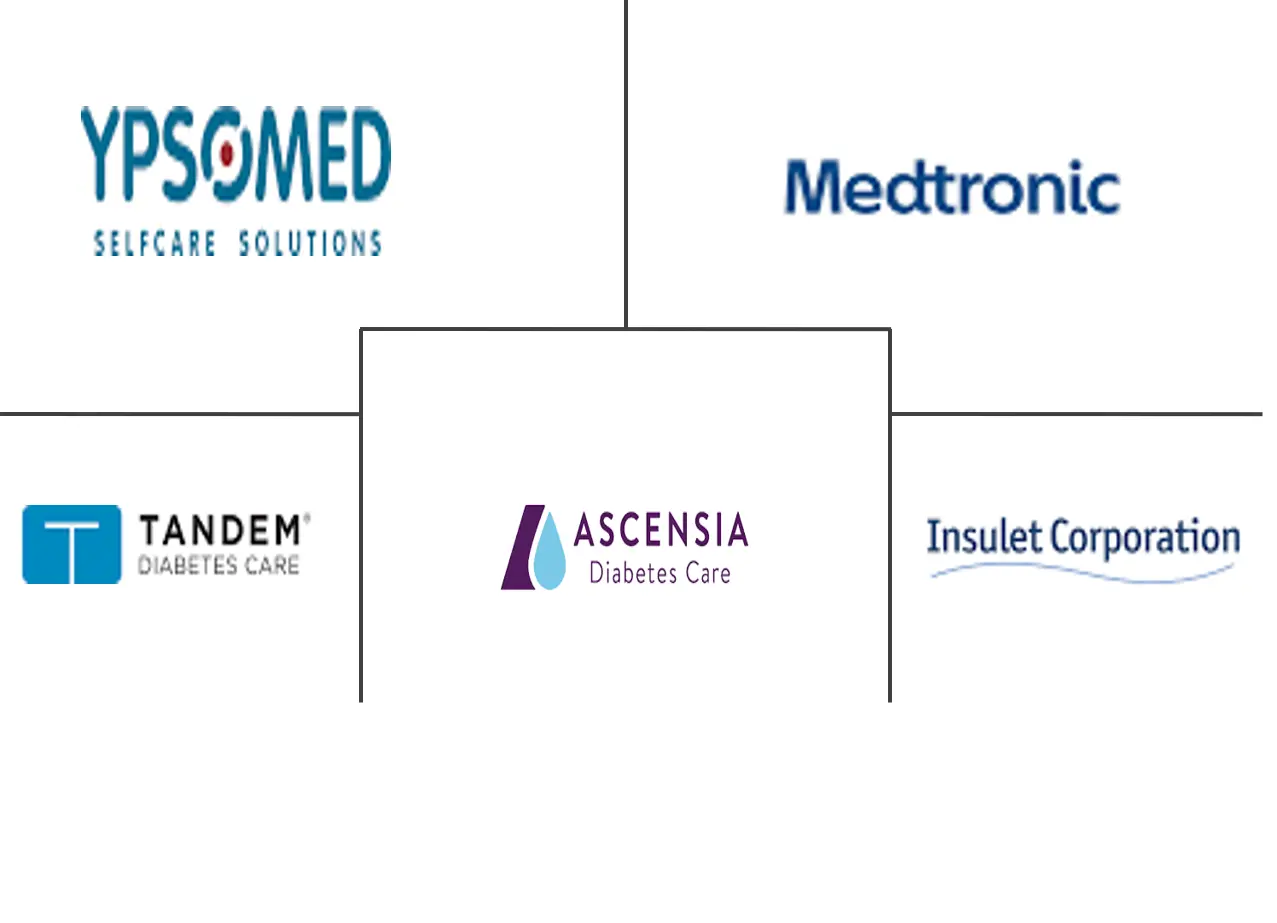 欧洲胰岛素输液泵市场规模