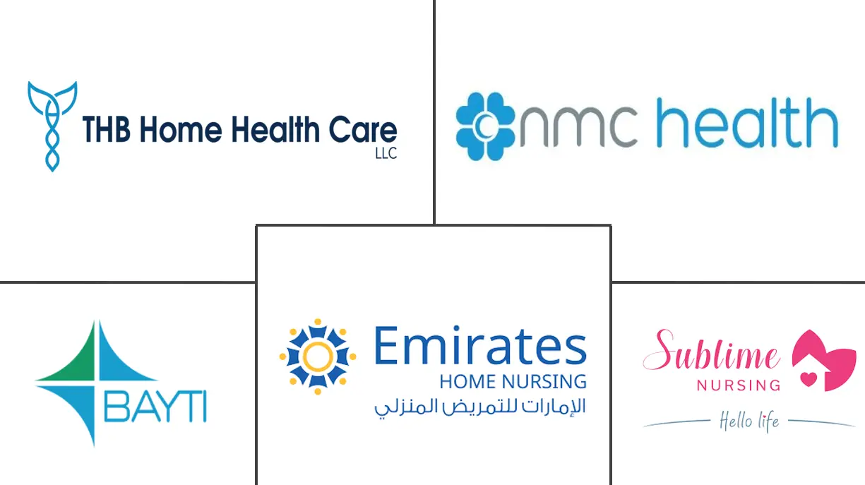 阿联酋家庭医疗保健市场规模和份额分析