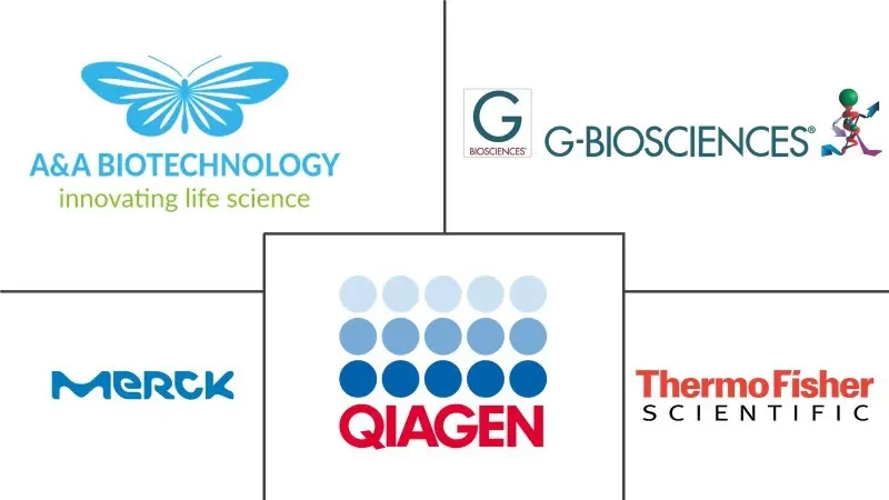 蛋白酶 K 市场规模和份额