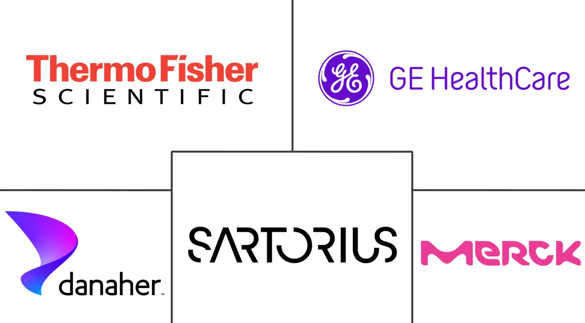 下游加工市场规模和份额