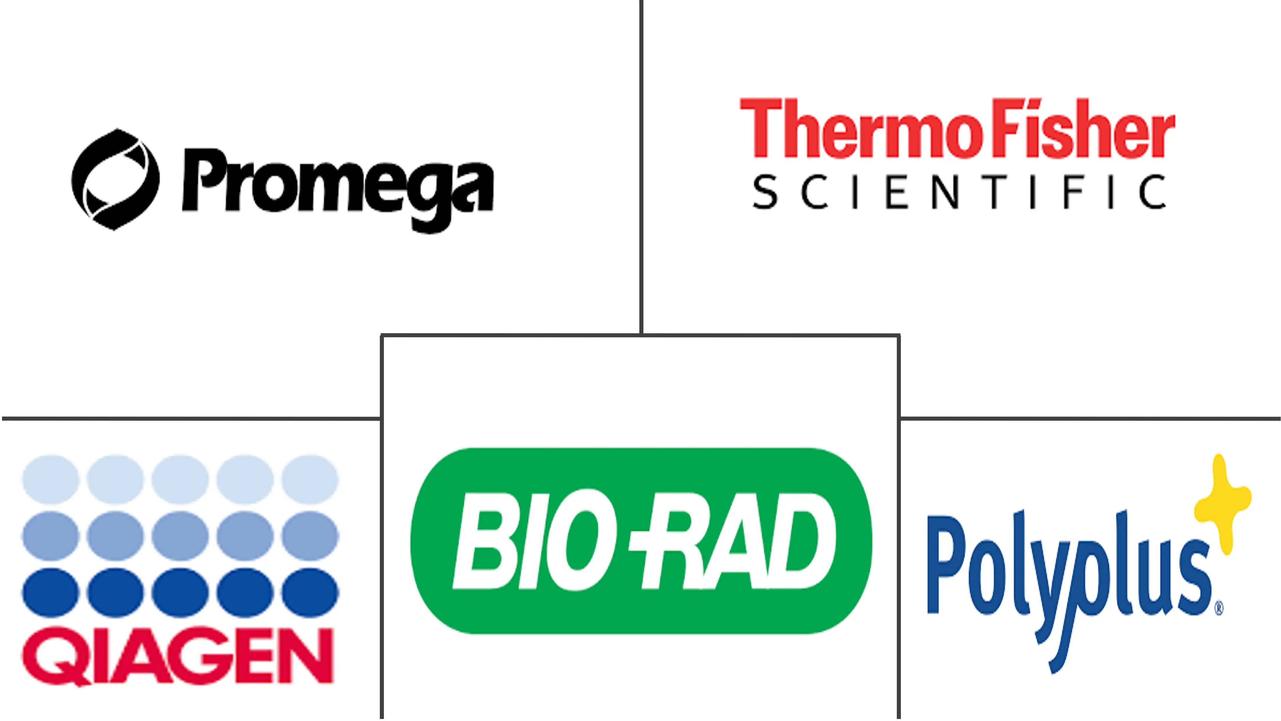 转染试剂和设备市场规模及份额