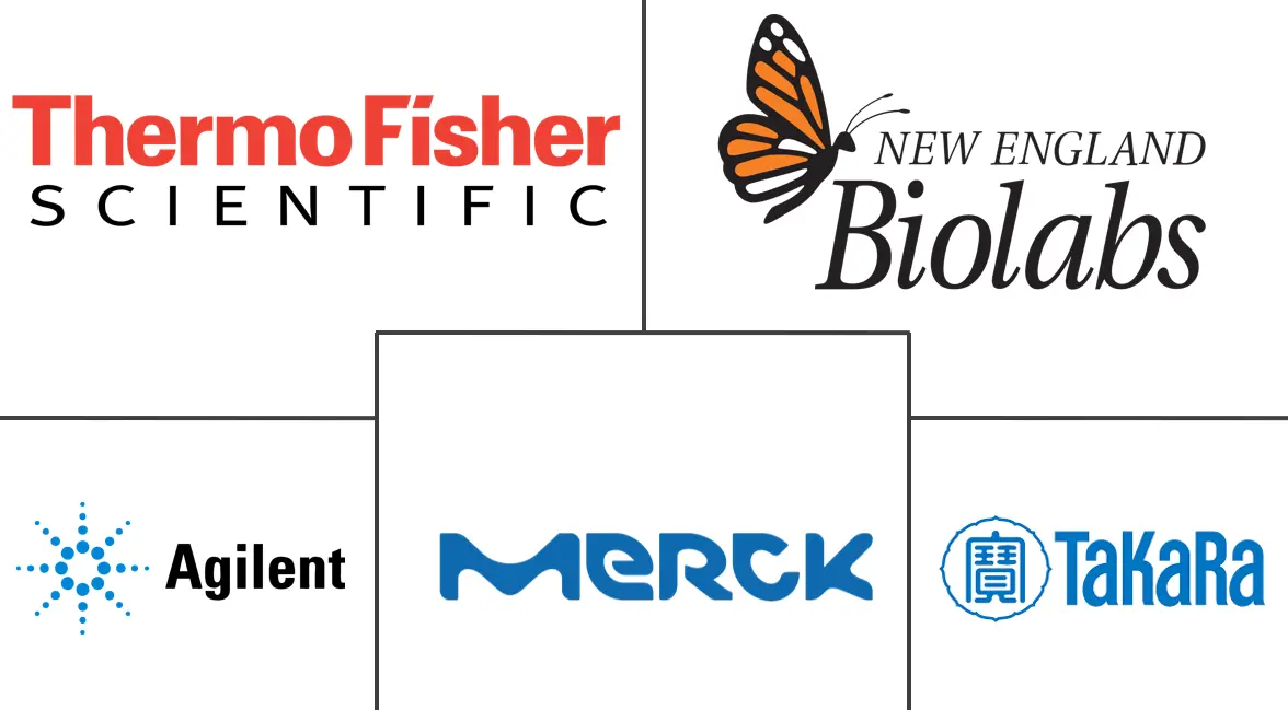 蛋白质表达市场规模和份额